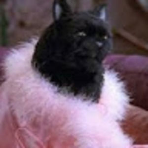 Meet your Posher, Caroline